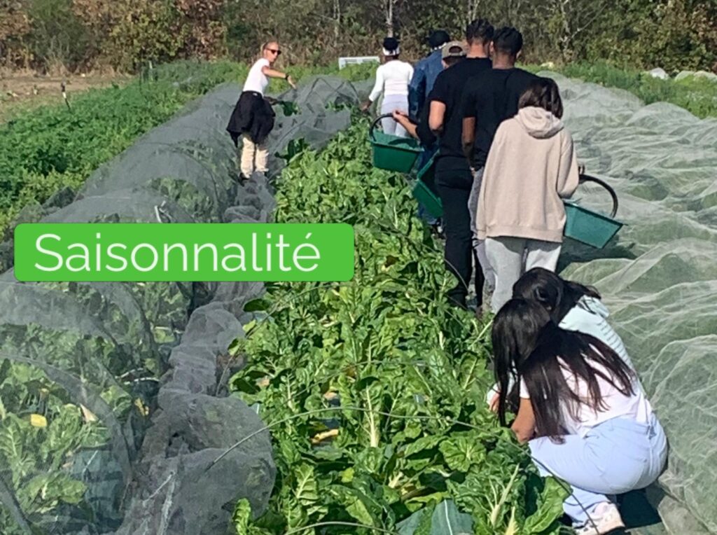 De la terre à l’assiette : les élèves de Terminale CAP Cuisine à la découverte des circuits courts 6 WhatsApp Image 2026 09 18 at 19.21.46 6