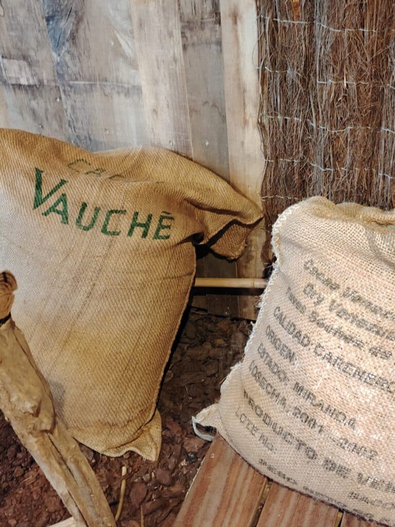 WhatsApp Image 2026 01 16 at 17.17.35 4