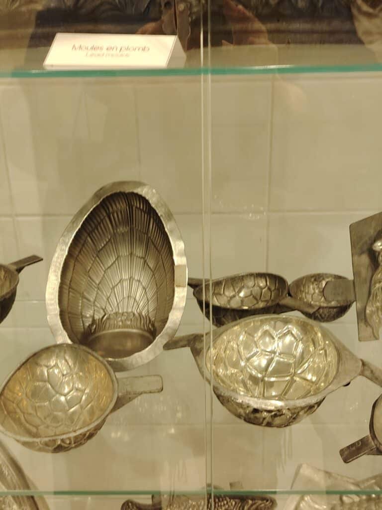 WhatsApp Image 2026 01 16 at 17.17.35