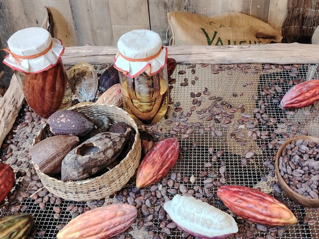 WhatsApp Image 2026 01 16 at 17.17.36 1