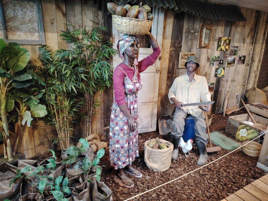 WhatsApp Image 2026 01 16 at 17.17.36 2