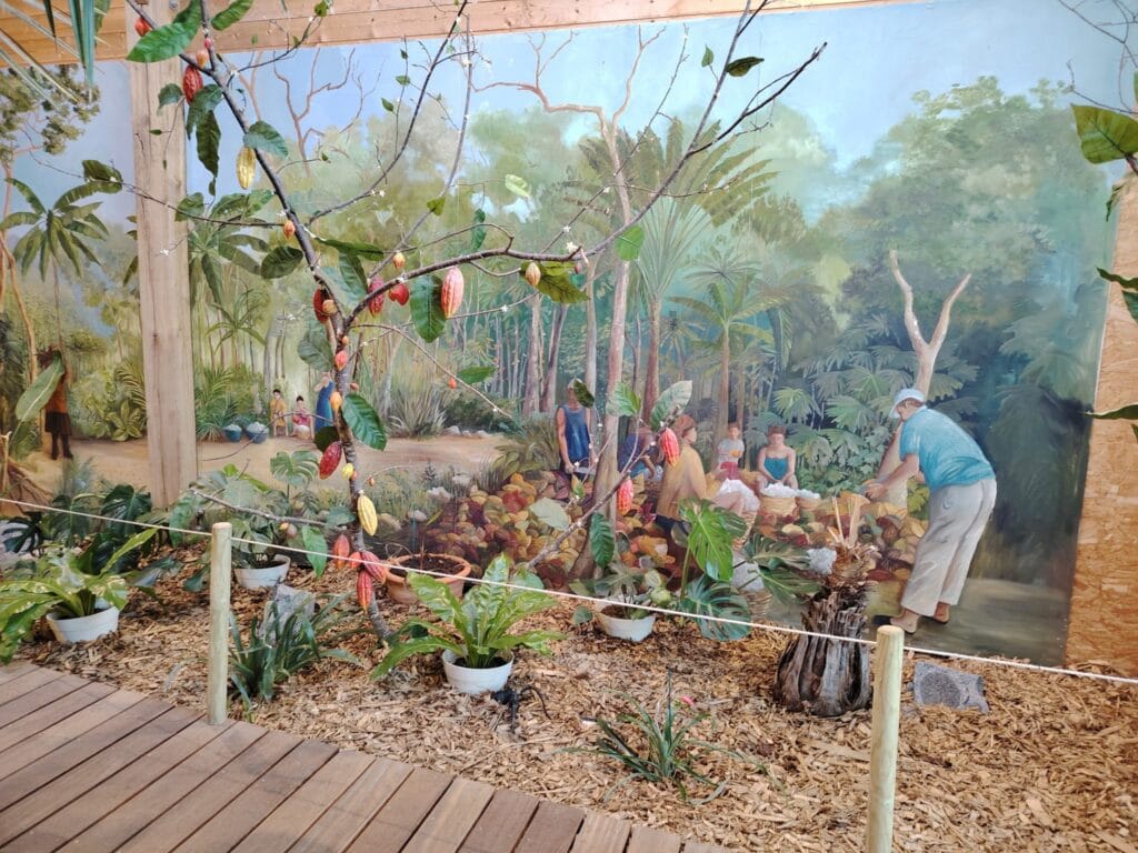 WhatsApp Image 2026 01 16 at 17.17.36 5