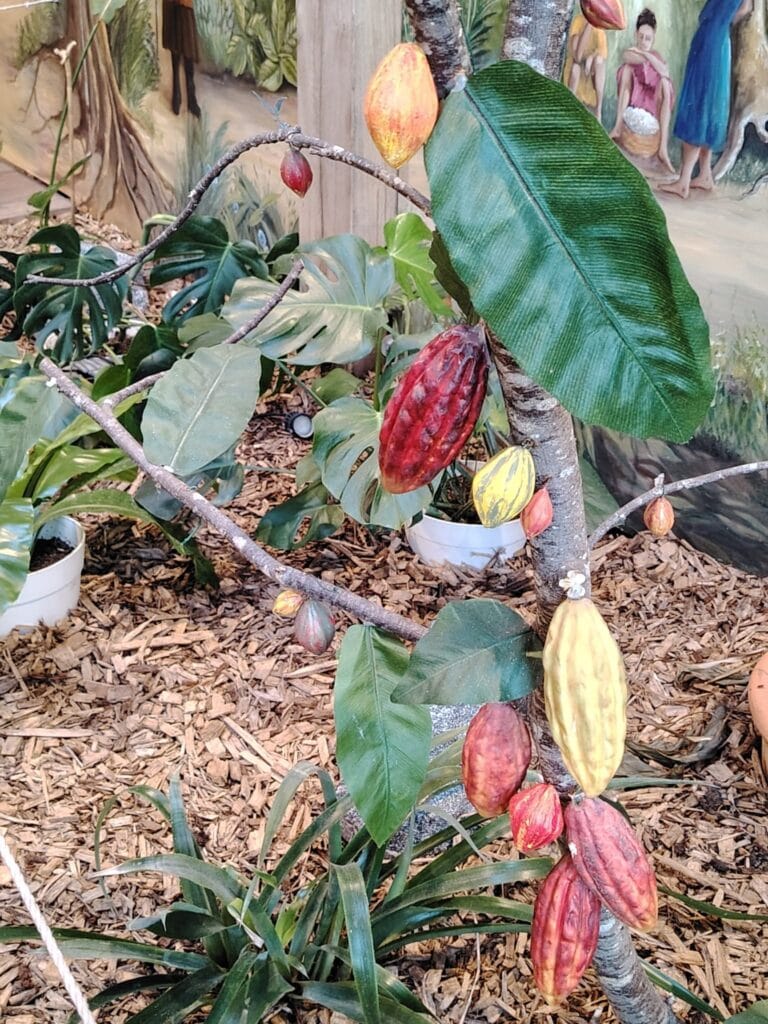 WhatsApp Image 2026 01 16 at 17.17.36