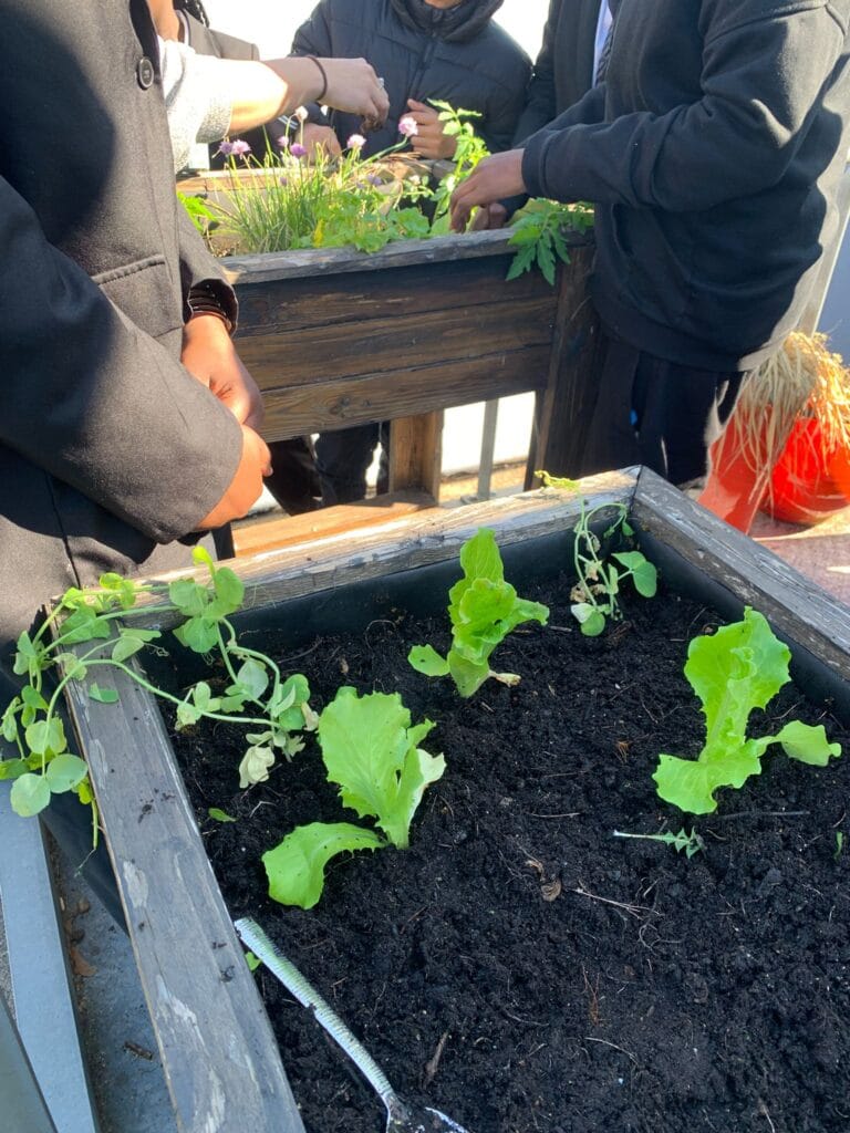« Cultiver son jardin » : les élèves mettent les mains dans la terre ! 1 WhatsApp Image 2026 05 12 at 10.59.43 2