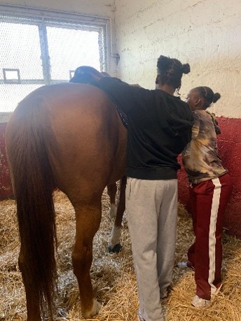 La médiation équine : apprendre à se connaître et à progresser au rythme des chevaux 1 Image3