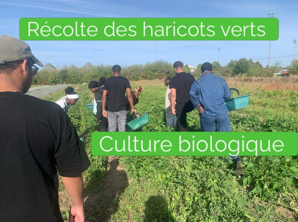 De la terre à l’assiette : les élèves de Terminale CAP Cuisine à la découverte des circuits courts 4 WhatsApp Image 2026 09 18 at 19.21.46 4